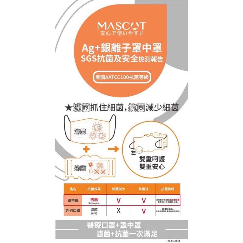 Mask Filter - 100pcs (Taiwan Edition)