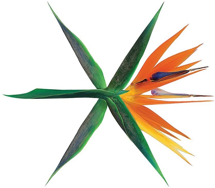 EXO Vol. 4 - THE WAR (Korean Version)