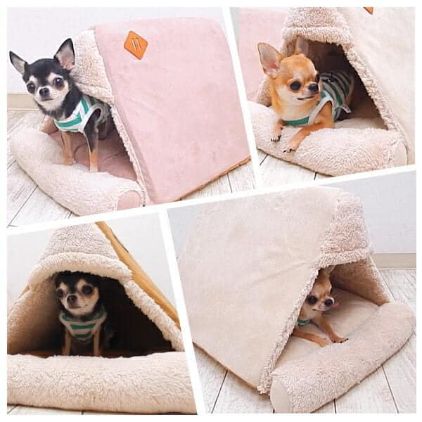 Pet House (Japan Edition)