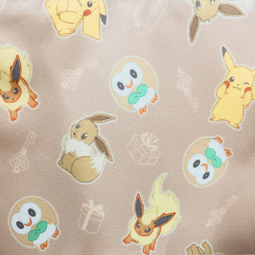 Lunch Bag - Pokémon with Window (Japan Edition)