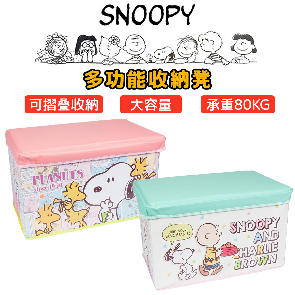 Seat with Storage - Snoopy Rectangle 2 Colours (Japan Edition)