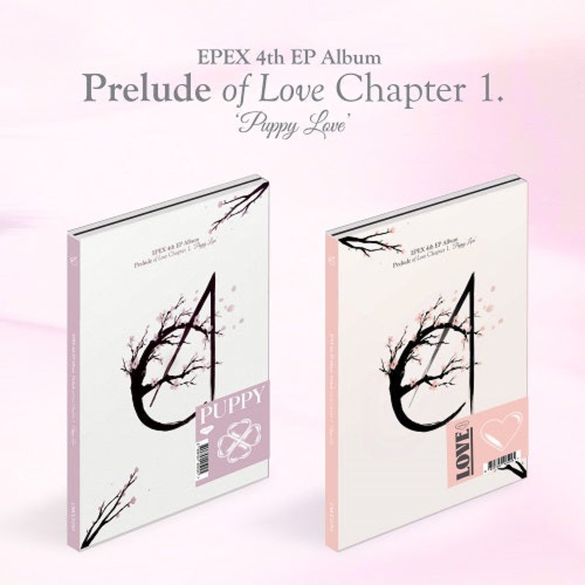 EPEX Mini Album Vol. 4 - Prelude of Love Chapter 1. Puppy Love (Random Version)